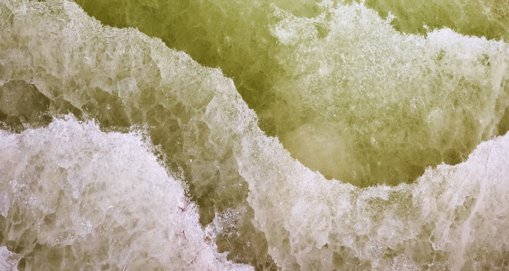 Mineralien- und Fossilienmuseum (oua_50274971_image) Mineralien- und Fossilienmuseum (oua_50274971_image)