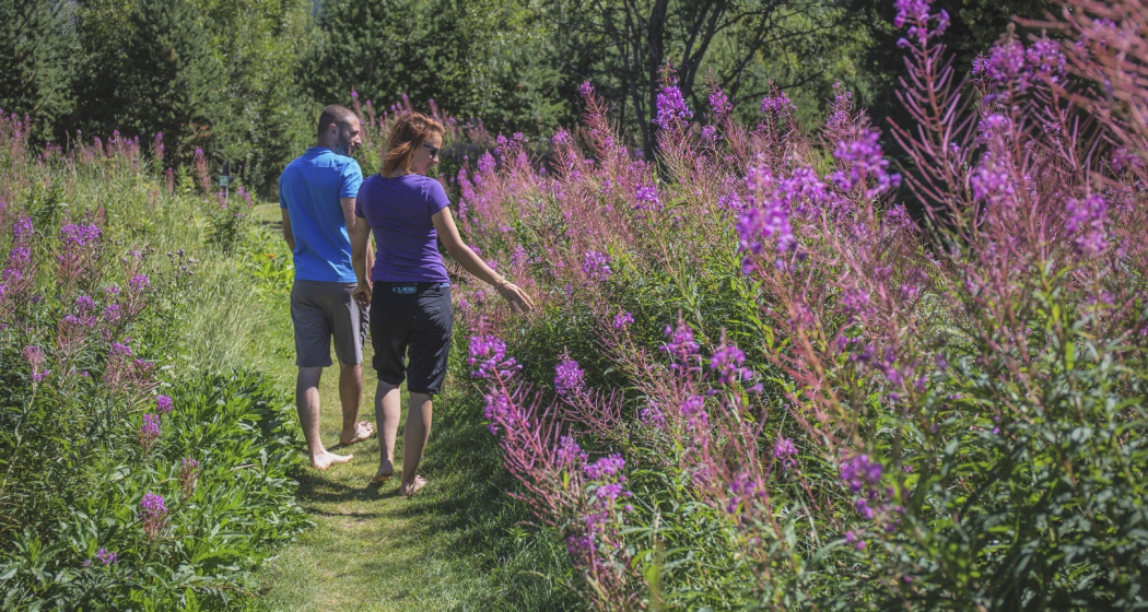 Barfusstrail Barfusstrail