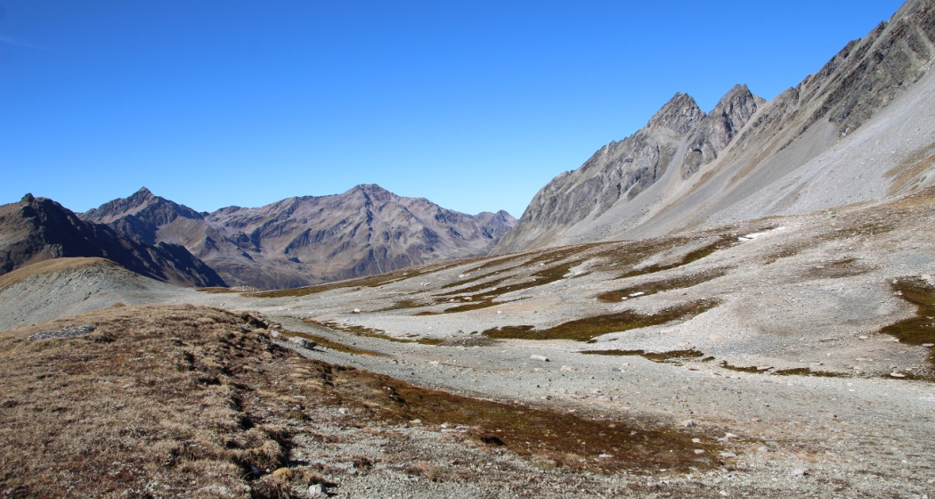 Flesspass und Vereinapass Flesspass und Vereinapass