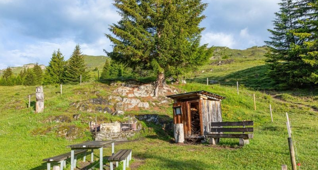 Feuerstelle Trutg da stiarls Feuerstelle Trutg da stiarls