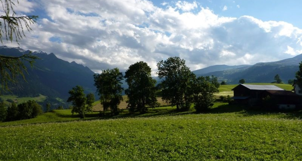 Eschenallee Eschenallee