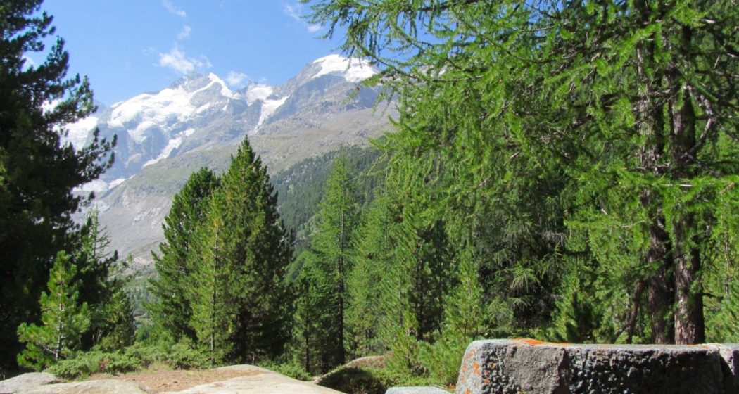 Sitzbank Chünetta (oua_54883548_image) Sitzbank Chünetta (oua_54883548_image)