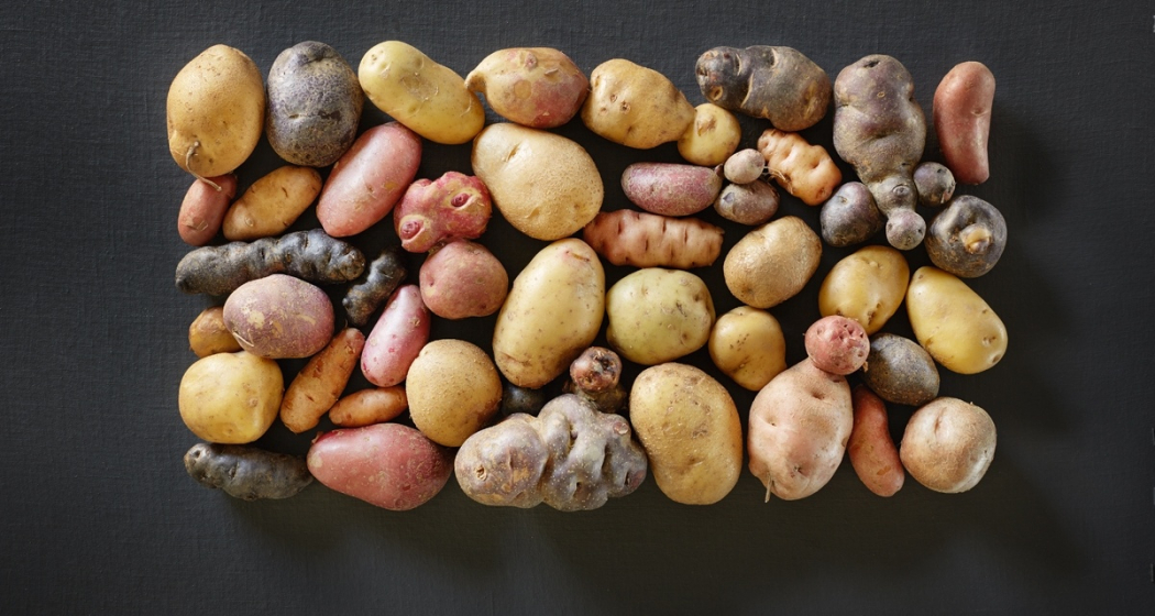 Biohof Las Sorts Biohof Las Sorts