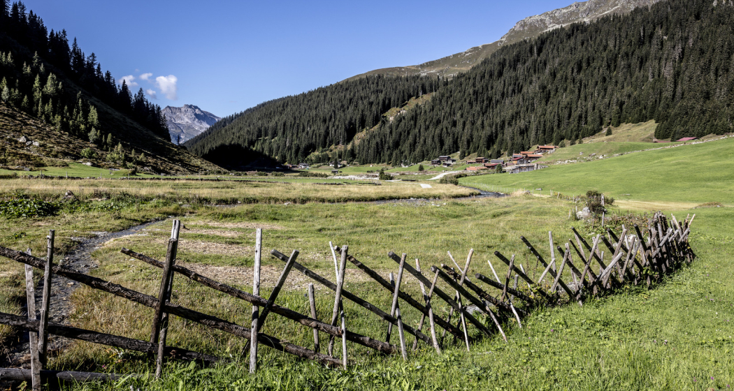 Rundwanderweg Klosters Etappe 7 - Schlappin - Saas (oua_57088877_image) Rundwanderweg Klosters Etappe 7 - Schlappin - Saas (oua_57088877_image)