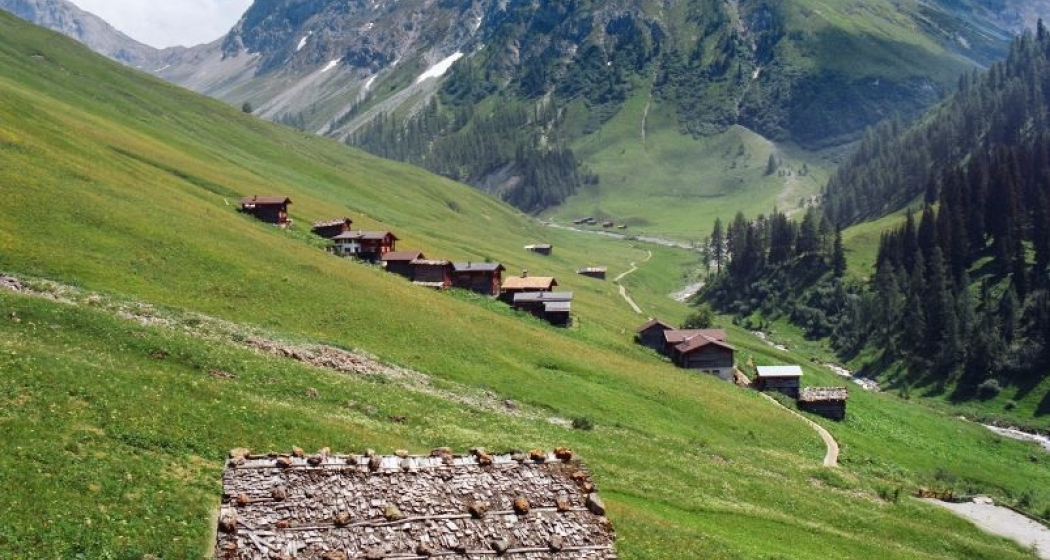 Walsedorf Sapün Walsedorf Sapün