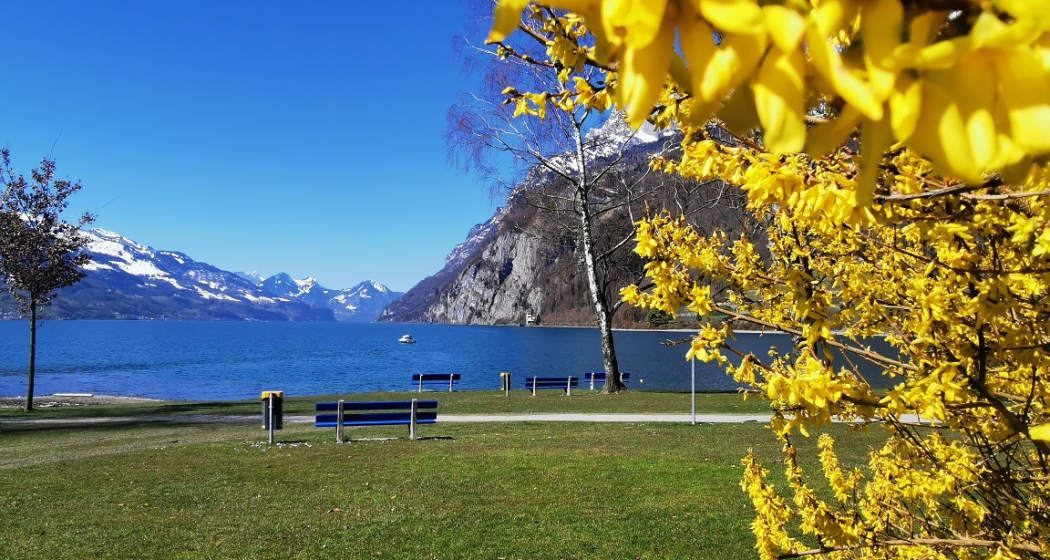 Sonnenbänkli am Walensee Sonnenbänkli am Walensee