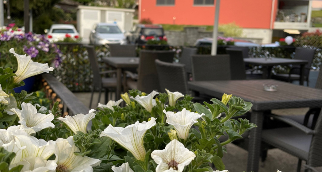 Ristorante Pizzeria Cairo (oua_58564475_image) Ristorante Pizzeria Cairo (oua_58564475_image)