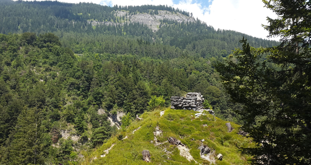 Ruine Wackenau Ruine Wackenau