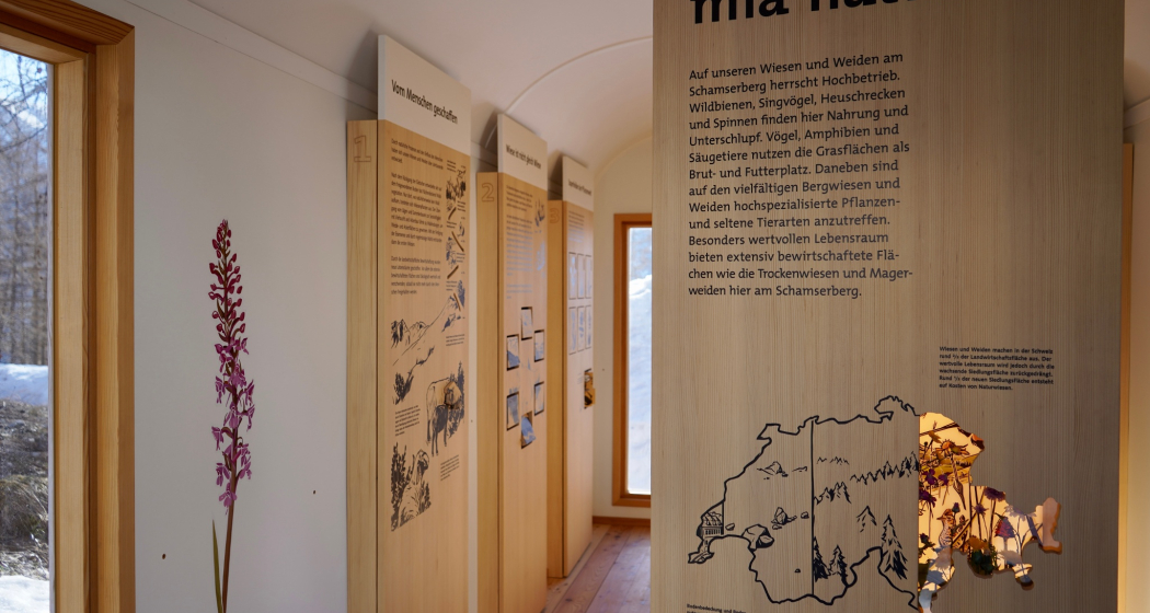 Ausstellung mia natira - Wiesen und Weiden am Schamserberg Ausstellung mia natira - Wiesen und Weiden am Schamserberg