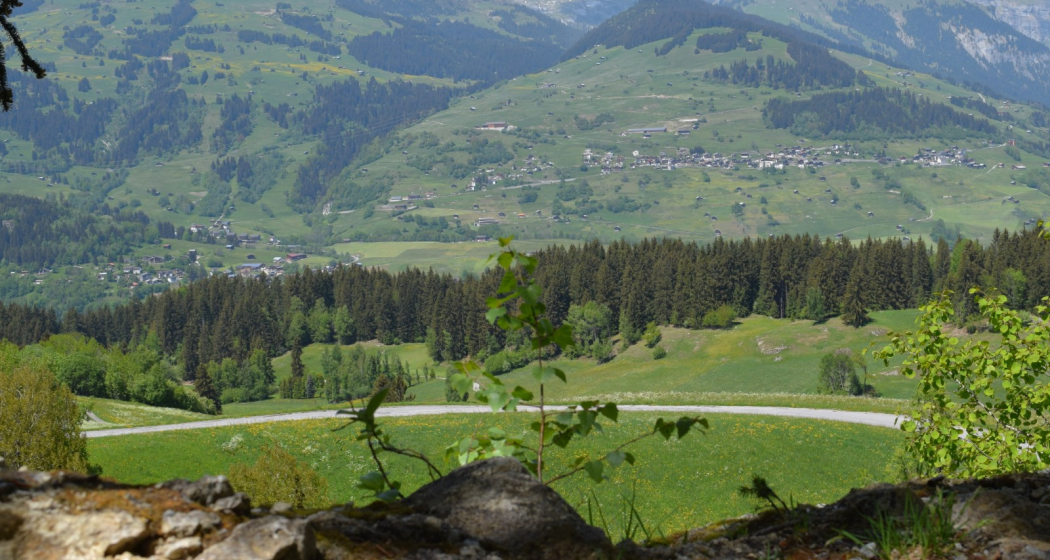 Landschaft bei Surcuolm Landschaft bei Surcuolm
