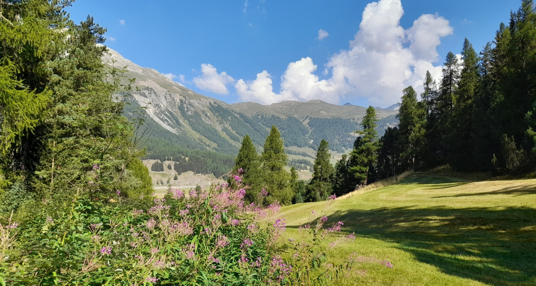 Feuerstelle bei San Gian (oua_602834833_image) Feuerstelle bei San Gian (oua_602834833_image)