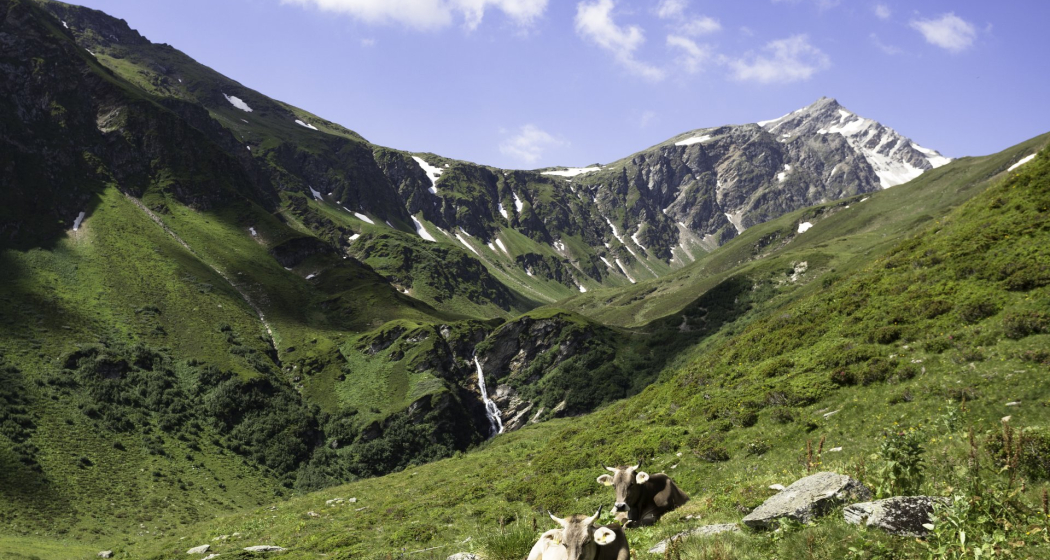 Bei der Alp Cavel Bei der Alp Cavel