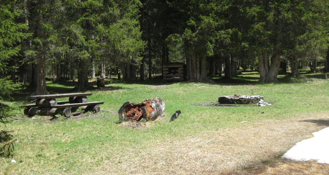 Feuerstelle Iselwald Feuerstelle Iselwald