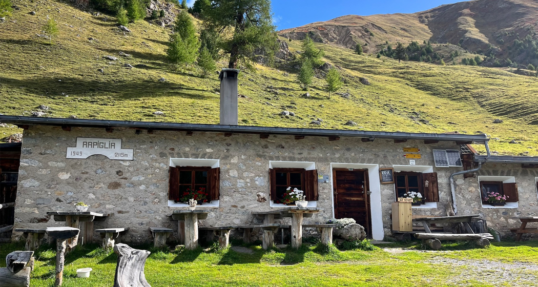 Alp Arpiglia (oua_604533078_image) Alp Arpiglia (oua_604533078_image)