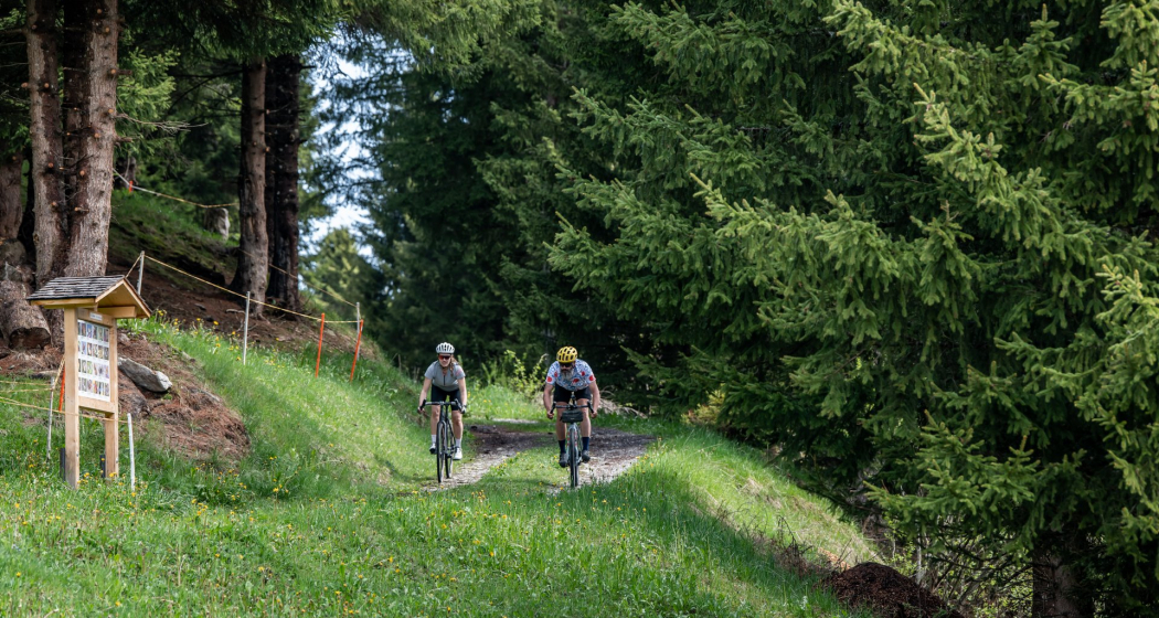Gravelabfahrt fordert Konzentration Gravelabfahrt fordert Konzentration