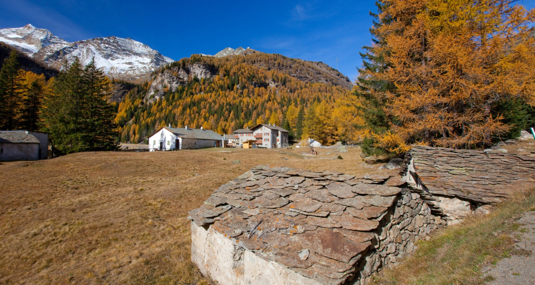 Cavaglia Cavaglia