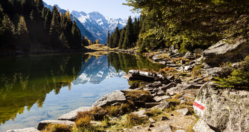 Lai Lung (oua_611519468_image) Lai Lung (oua_611519468_image)