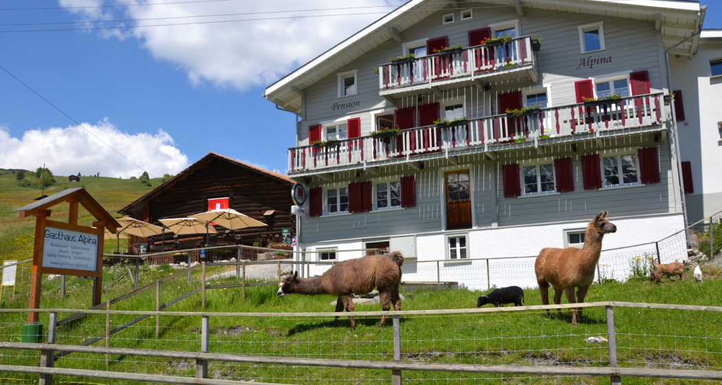 Gasthaus Alpina (oua_611519842_image) Gasthaus Alpina (oua_611519842_image)