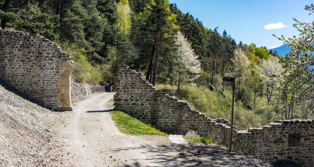 Porta Rhaetica (oua_611520323_image) Porta Rhaetica (oua_611520323_image)