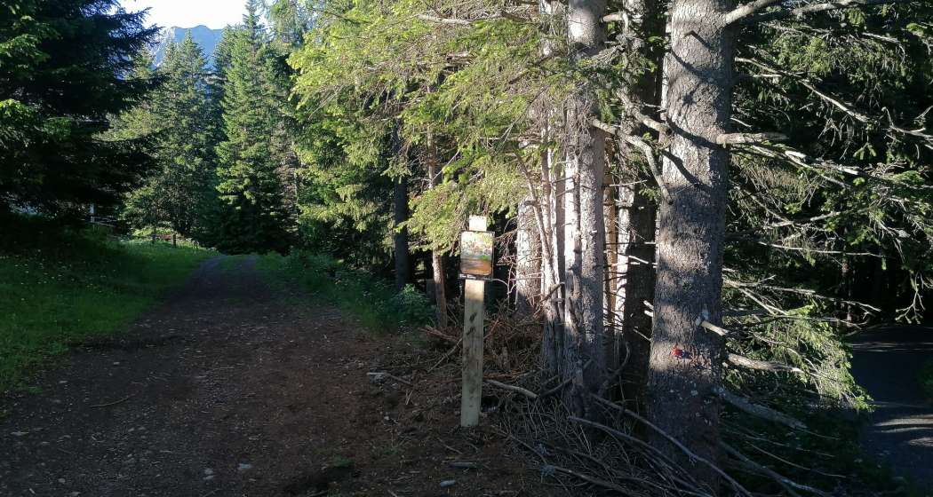 Schatzstation Heimfahrtspiste (Bärenbike-Schatzsuche) Schatzstation Heimfahrtspiste (Bärenbike-Schatzsuche)