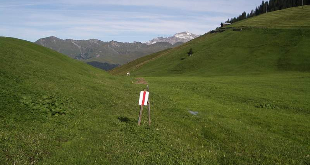 Hochmoor auf Aschüel Hochmoor auf Aschüel