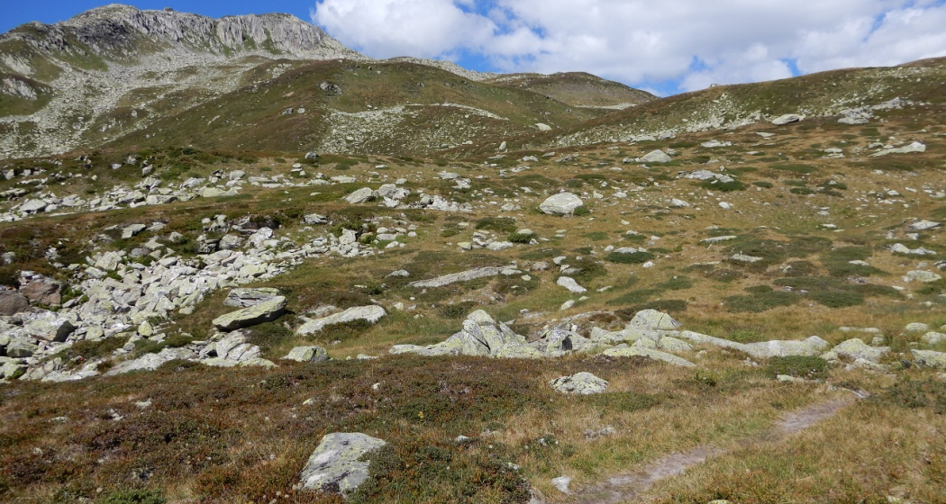 Auf der Alp Caschlé mit Piz Caschlè Auf der Alp Caschlé mit Piz Caschlè