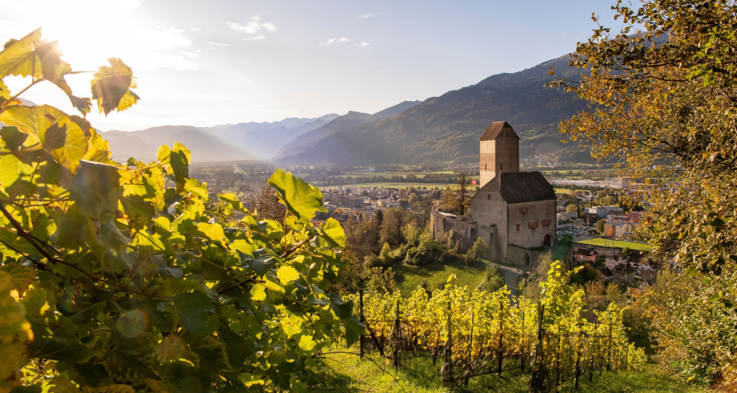Schloss Sargans Blick aus den Reben Schloss Sargans Blick aus den Reben