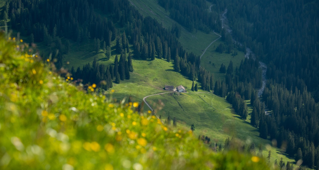 Weit weg vom Trubel Weit weg vom Trubel
