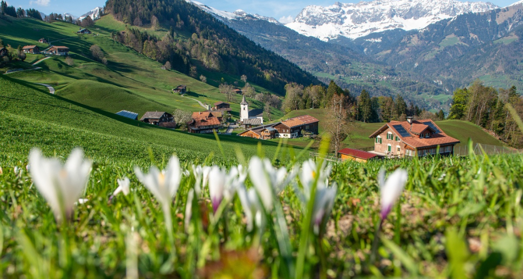 Valzeina (oua_67324204_image) Valzeina (oua_67324204_image)