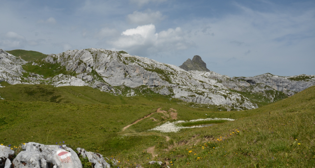 Gruobenpass-Plasseggenpass Gruobenpass-Plasseggenpass