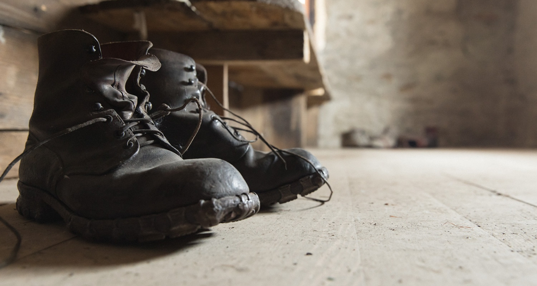 Cheva Plattas da Fex (oua_70051425_image) Cheva Plattas da Fex (oua_70051425_image)