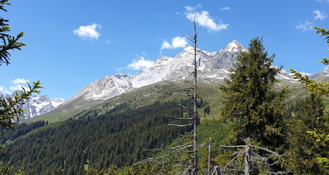 Das Foto zeigt die Sicht auf dem Piz Dado Das Foto zeigt die Sicht auf dem Piz Dado
