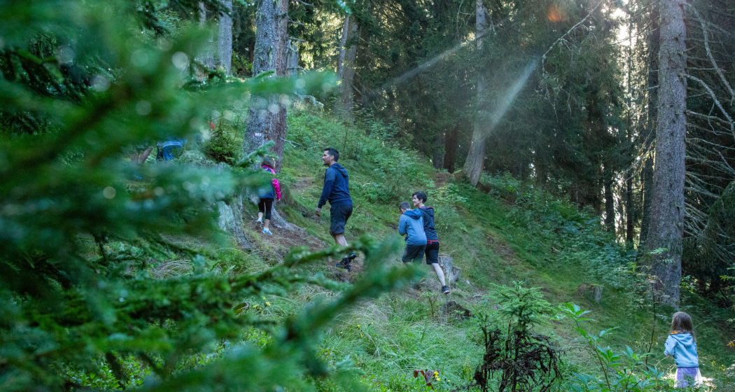 Das Foto zeigt eine Familie die auf dem Waldspaziergang laufen Das Foto zeigt eine Familie die auf dem Waldspaziergang laufen