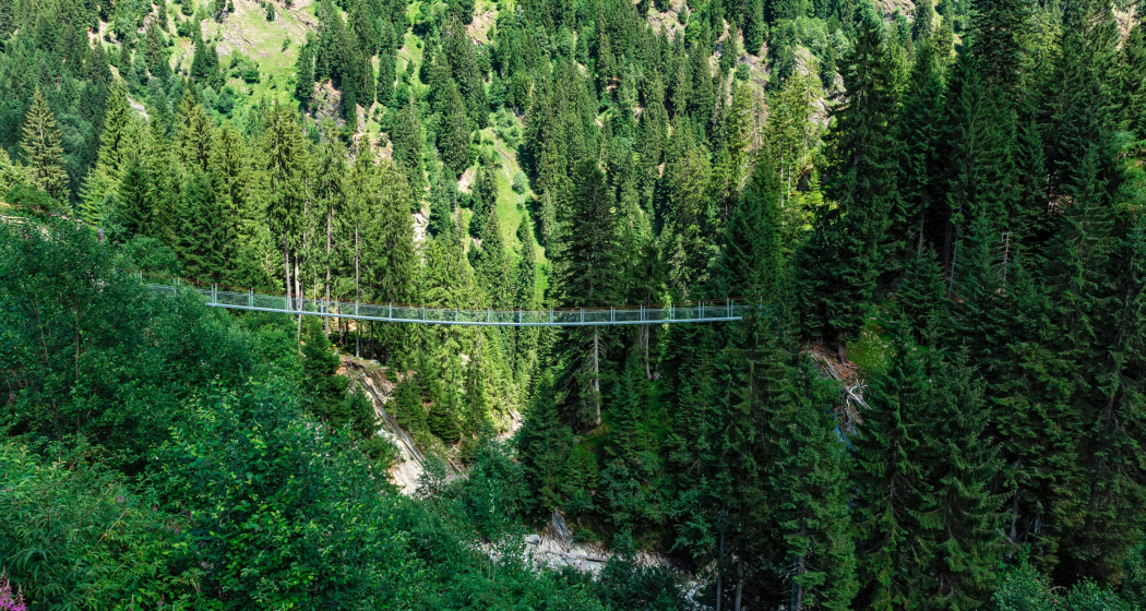 Das Foto zeigt die Hängebrücke in Val Sumvitg Das Foto zeigt die Hängebrücke in Val Sumvitg