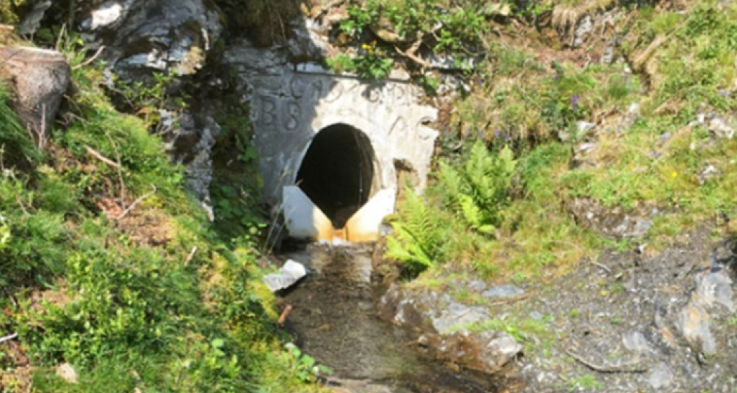 Abb. 1 Ehemaliger Stollenausgang mit Einlauf in Lüschbach Abb. 1 Ehemaliger Stollenausgang mit Einlauf in Lüschbach