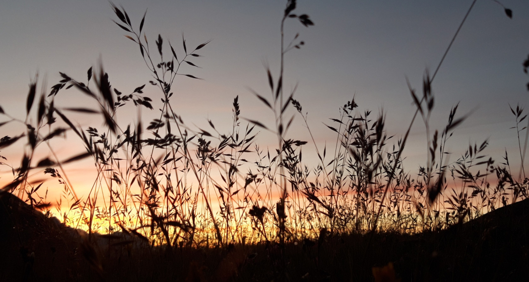 Morgenrot Morgenrot