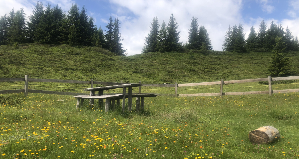 Bänke und Tisch Bänke und Tisch