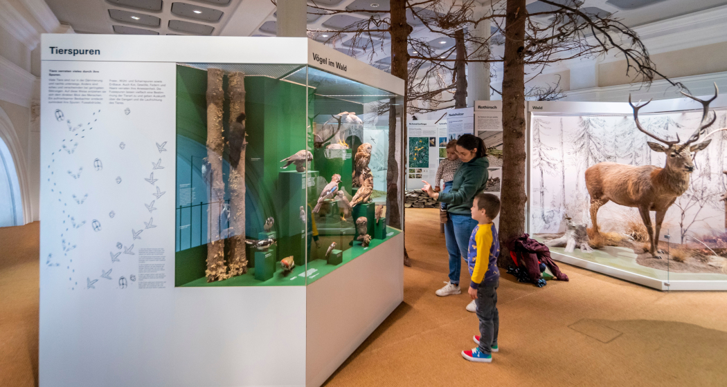Naturkundliche Ausstellung Naturkundliche Ausstellung