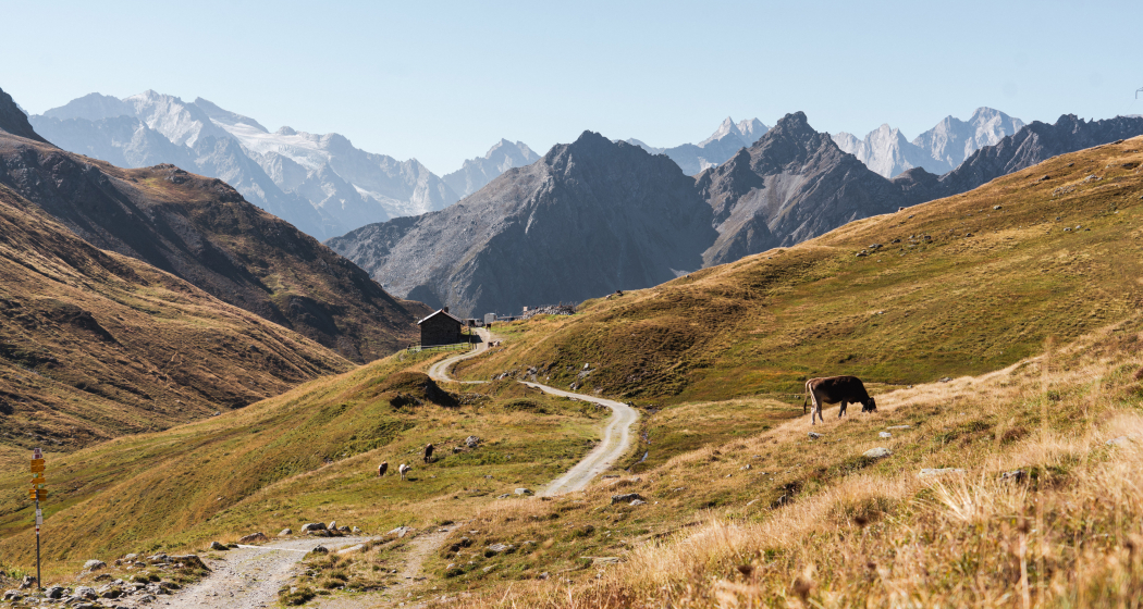Via Sett: Septimerpass (oua_73743094_image) Via Sett: Septimerpass (oua_73743094_image)