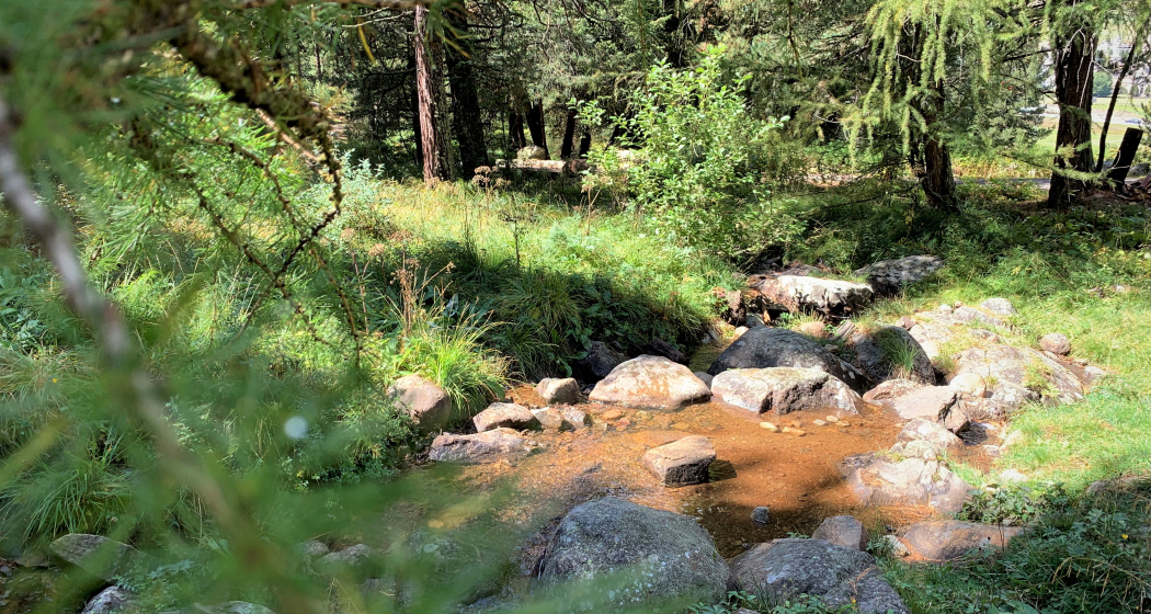 Feuerstelle beim Ovelin da la Spusa (oua_73756140_image) Feuerstelle beim Ovelin da la Spusa (oua_73756140_image)