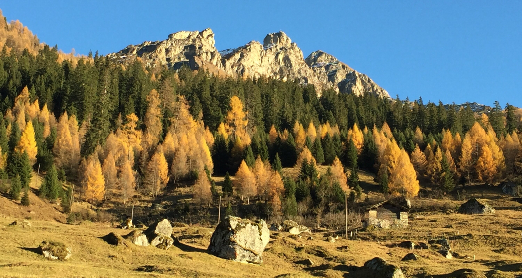 Hora im Herbst Hora im Herbst