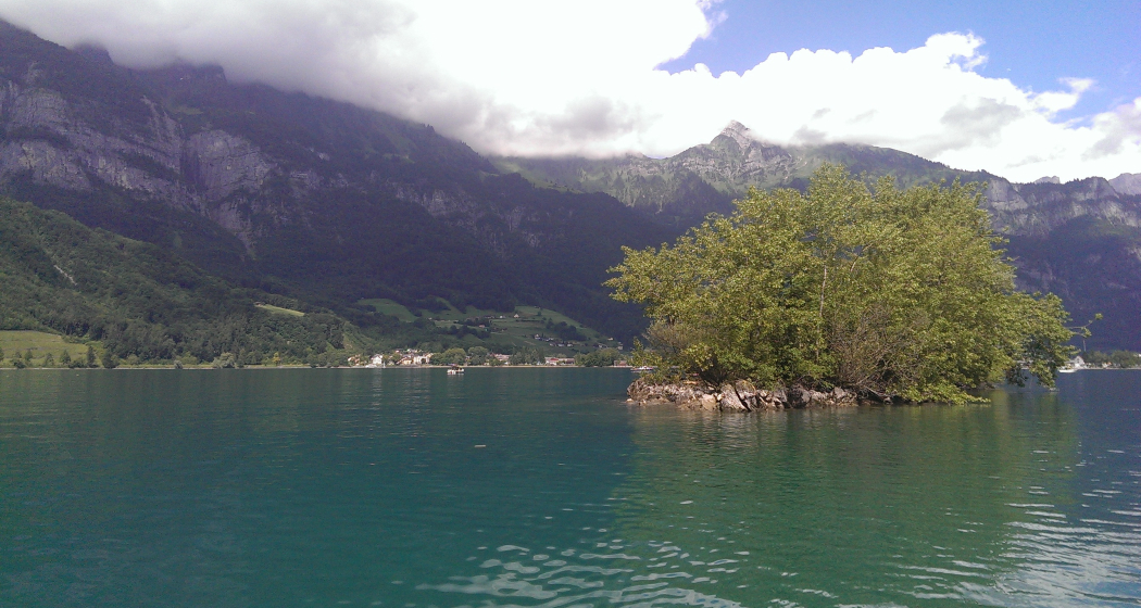 Schnittlauch Insel Schnittlauch Insel