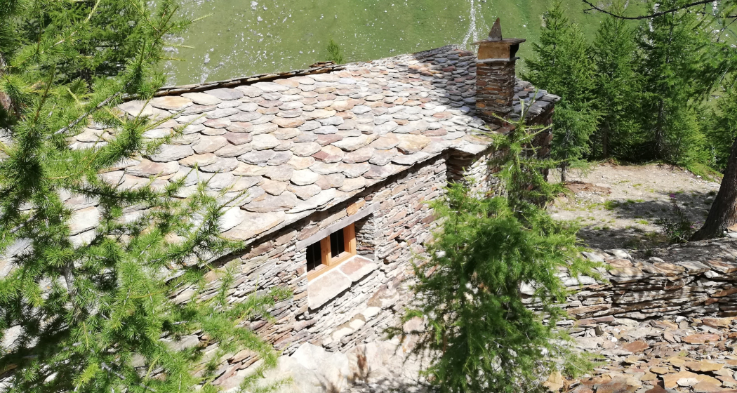 Cheva Plattas da Fex (oua_75530793_image) Cheva Plattas da Fex (oua_75530793_image)