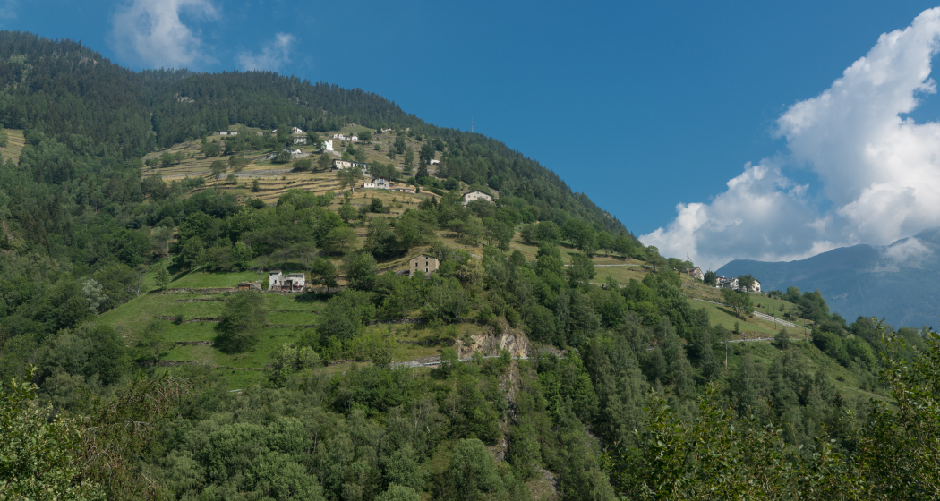 Cavaione Cavaione