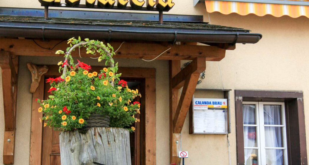 Ustareia Alpina (oua_78177285_image) Ustareia Alpina (oua_78177285_image)