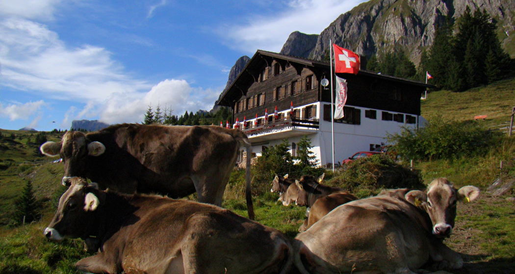 Berggasthaus Palfries Berggasthaus Palfries