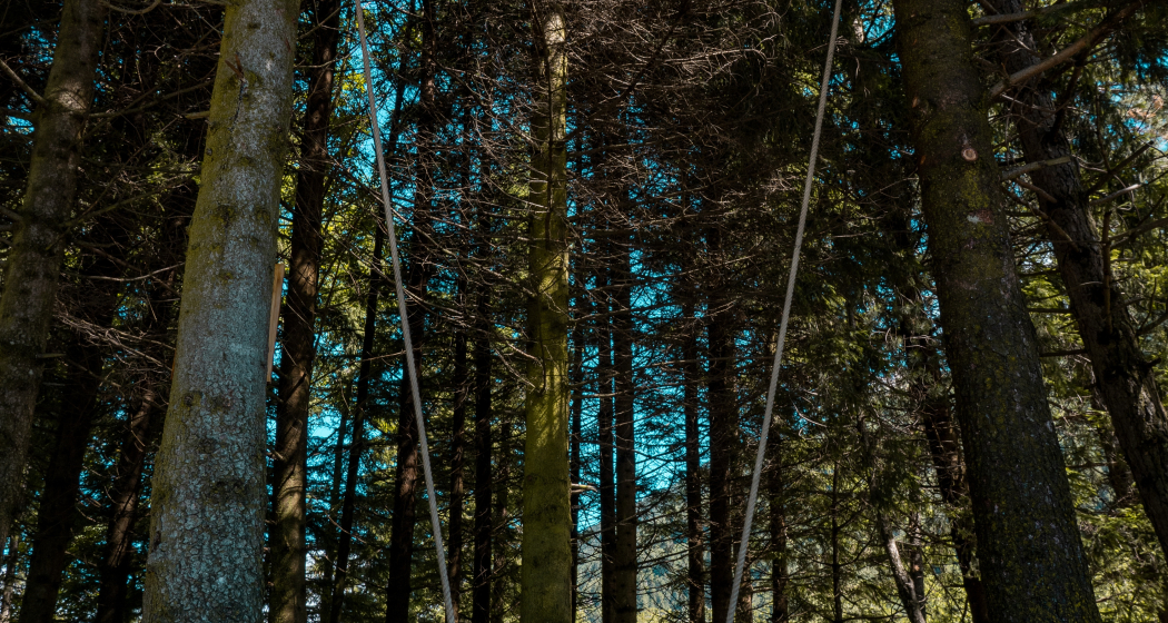 Swing the World - Lago Poschiavo Swing the World - Lago Poschiavo