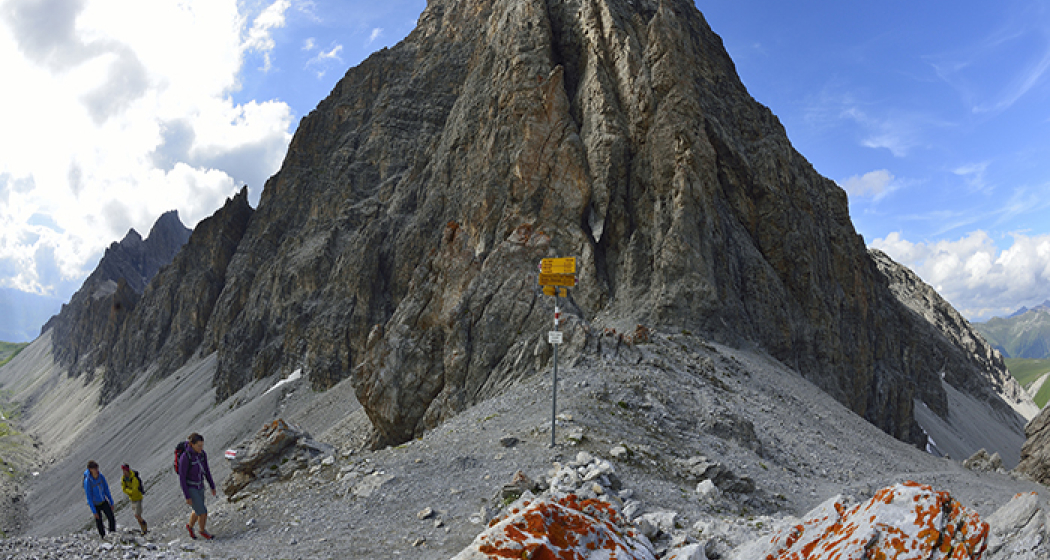 Orgel- und Elapass Orgel- und Elapass