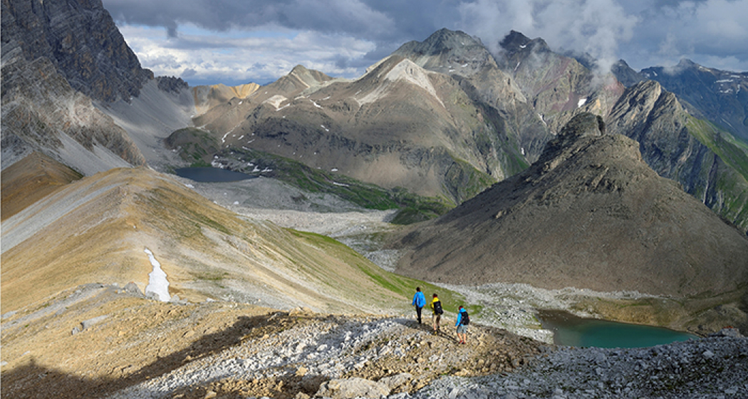 Orgel- und Elapass Orgel- und Elapass