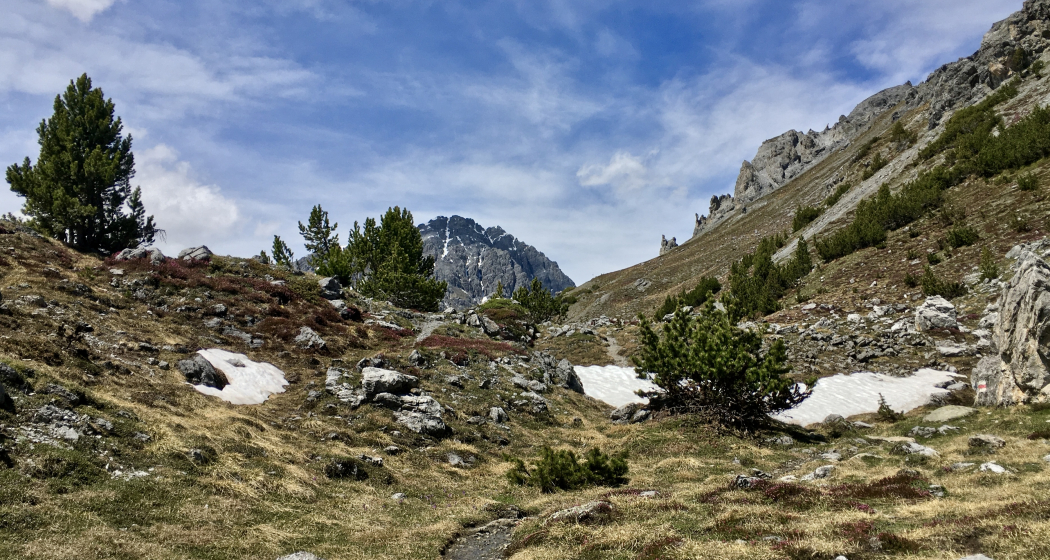 vom Ofenpass in Richtung Chaschlot vom Ofenpass in Richtung Chaschlot